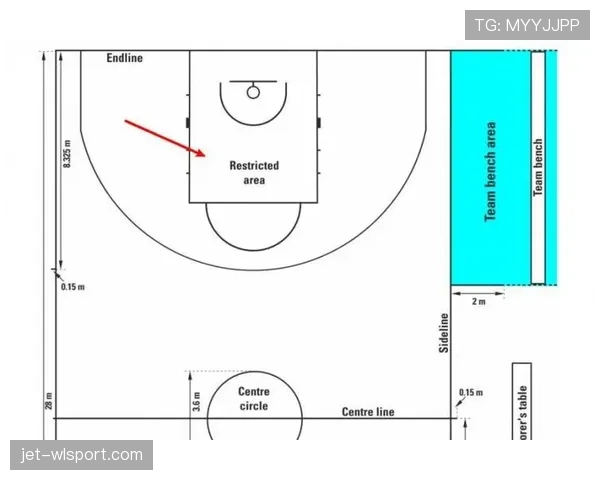 罚球规则 NBA 与 FIBA 区别究竟有哪些详细解析 罚球规则 NBA 与 FIBA 区别究竟有哪些详细解析